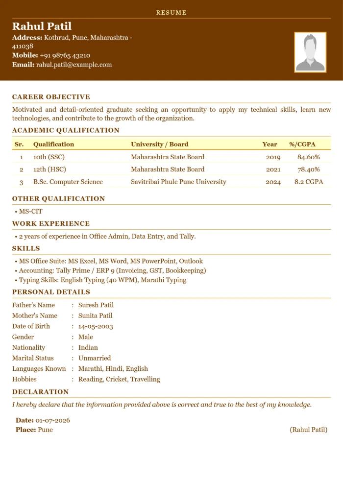 Elegant resume template preview